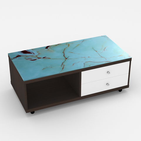 SCT 313 Coffee Table